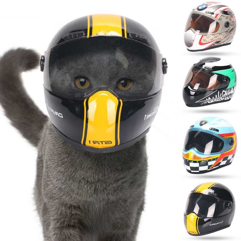 Pet Helmet