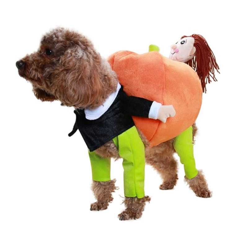 Pet Pumpkin Costume