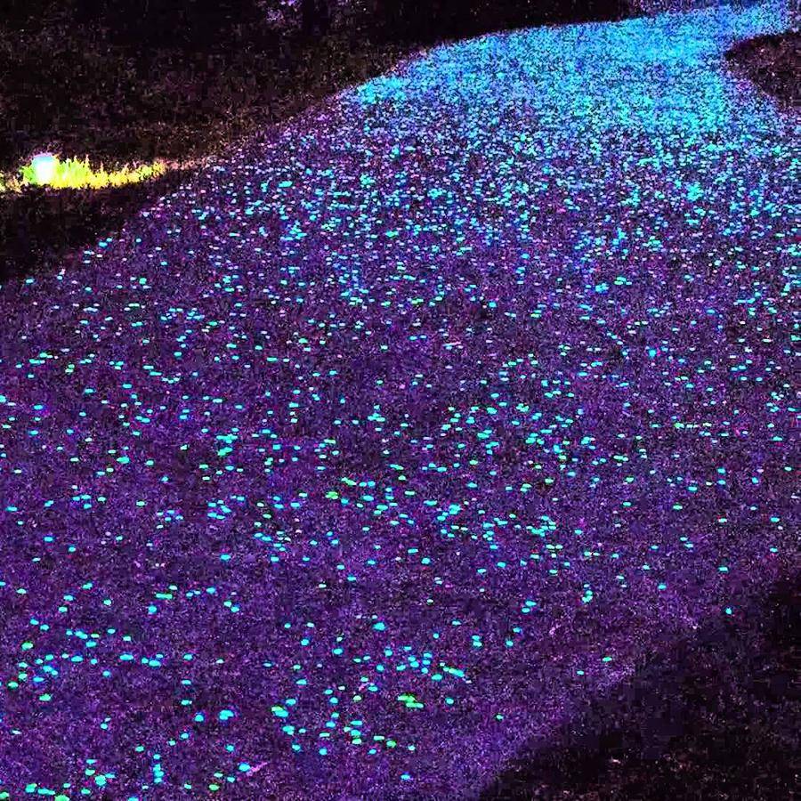 Garden Luminous Stones