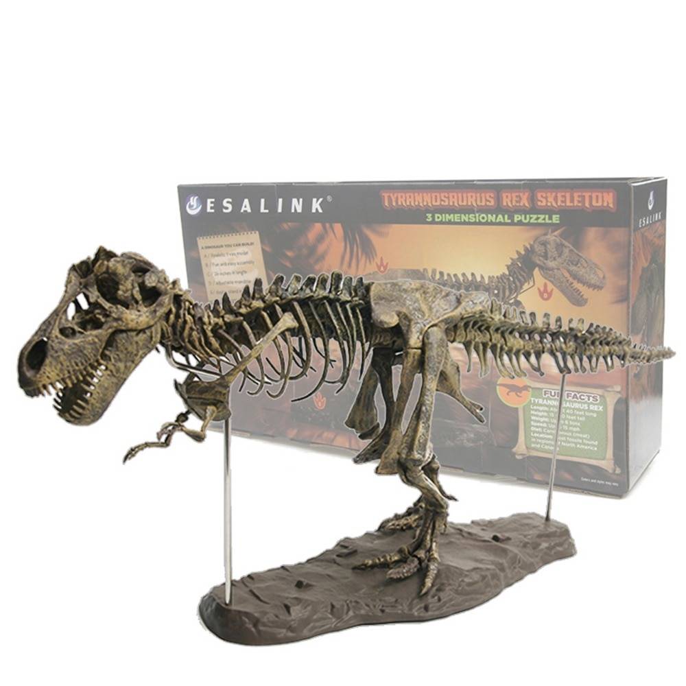 dinosaur fossil kit target