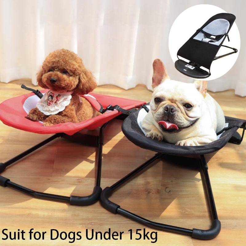 Dog Rocking Chair | asghedom.com