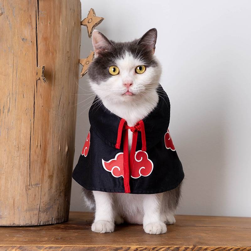 Pet Akatsuki Cloak | asghedom.com