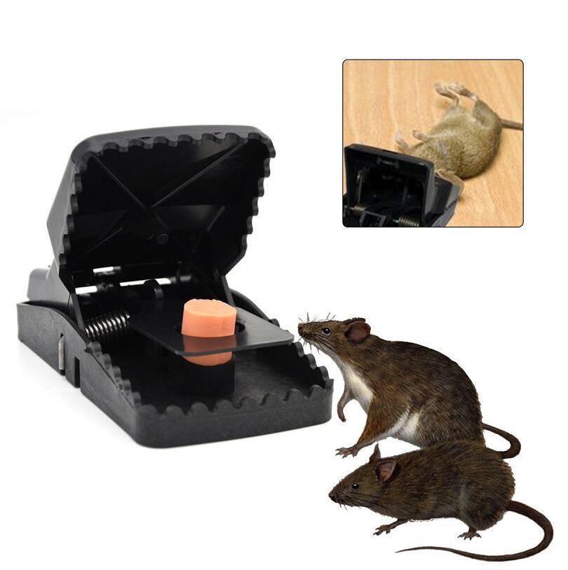 Reusable Mouse Trap