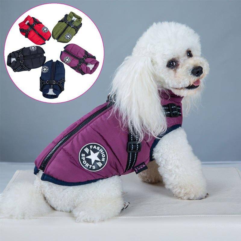 Winter Dog Harness